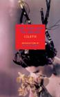 The Pure and the Impure By Colette, Judith Thurman (Introduction by), Herma Briffault (Translated by) Cover Image