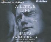 A Little Life By Hanya Yanagihara, Oliver Wyman (Read by) Cover Image