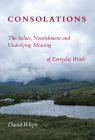 Consolations: The Solace, Nourishment and Underlying Meaning of Everyday Words By David Whyte Cover Image
